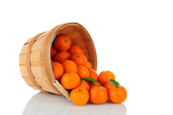 A basket of Clementine Mandarin Oranges tipped on its side with fruit spilling onto the surface. Vertical format over a white background with reflection.